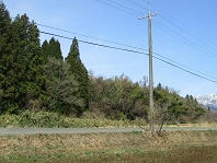 高原リゾートの拠点に!蒜山の土地
